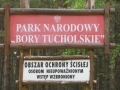 cwiczenia-terenowe-w-parku-narodowym-borow-tucholskich-2