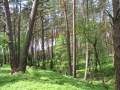 cwiczenia-terenowe-w-parku-narodowym-borow-tucholskich-20