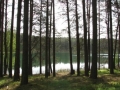 cwiczenia-terenowe-w-parku-narodowym-borow-tucholskich-3