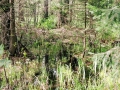 image033
