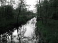 Białowieski Park Narodowy