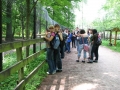 Białowieski Park Narodowy, Rezerwat Pokazowy Żubrów