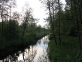 Białowieski Park Narodowy