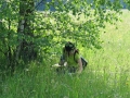 Białowieski Park Narodowy