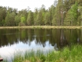 cwiczenia-terenowe-w-parku-narodowym-borow-tucholskich-25