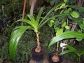 image022