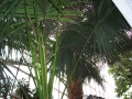 image025