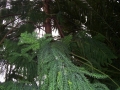 image033