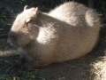 image023