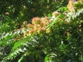image026